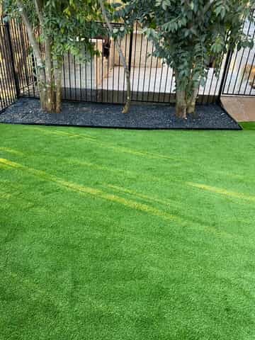 Fenced in Back Yard with Pet Turf